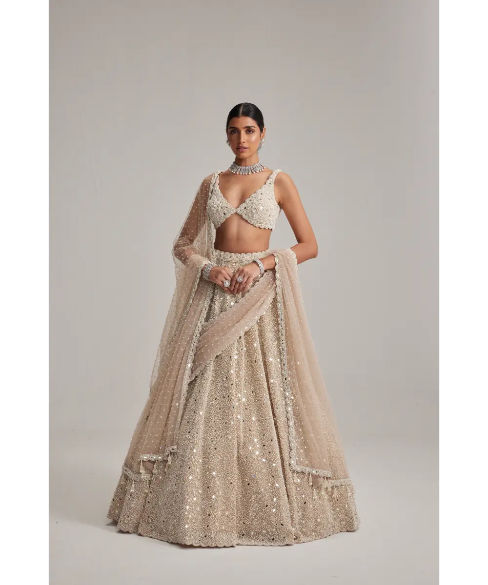 VVANI VATS- Light Beige Dense mirror and pearl lehenga set